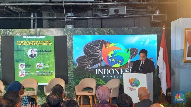 Erick Thohir Mendorong Perjanjian Kooperasi RI-Brasil-Kongo untuk Mengatasi Deforestasi