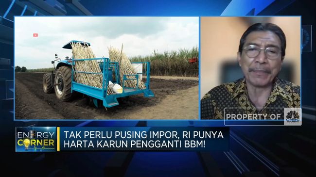 Petani Mengungkap Kemampuan Tebu Sebagai Campuran BBM