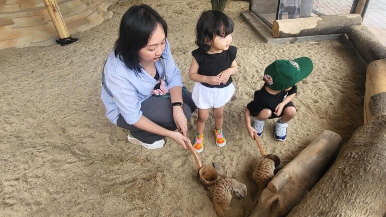 Aviary Park: Destinasi Wisata Keluarga yang Edukatif dan Menghibur