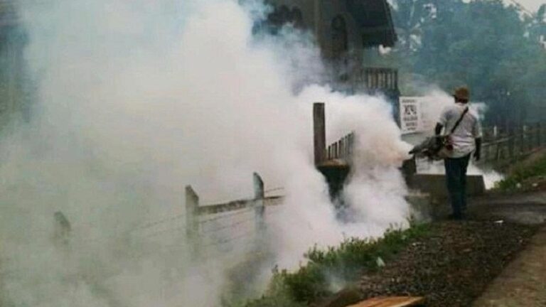 65 Orang Meninggal karena Demam Berdarah Dengue di Jawa Timur, Harapan Vaksin DBD sebagai Solusi Pencegahan