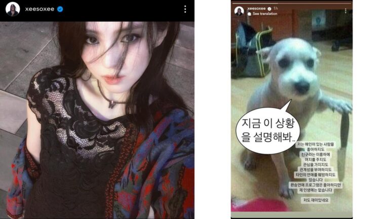 Kisah Sedih Anjing yang Memegang Pisau di Instagram, Han So Hee Bantah Rumor Pacaran dengan Ryu Jun Yeol, Mantan Hyeri