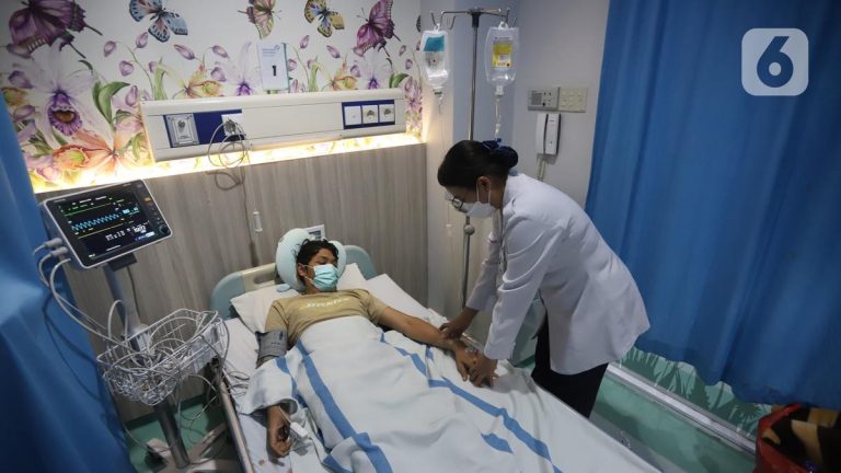 Kasus Demam Berdarah Dengue (DBD) Meningkat di Indonesia dan Dunia dalam 5 Tahun Terakhir