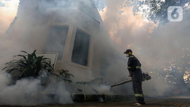 Kasus Kematian Akibat DBD Terus Meningkat, Capai 621 Orang Tertinggi di Kabupaten Bandung