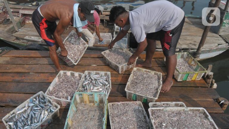 Manfaat Konsumsi Ikan Laut Secara Rutin untuk Mengurangi Risiko Penyakit Jantung