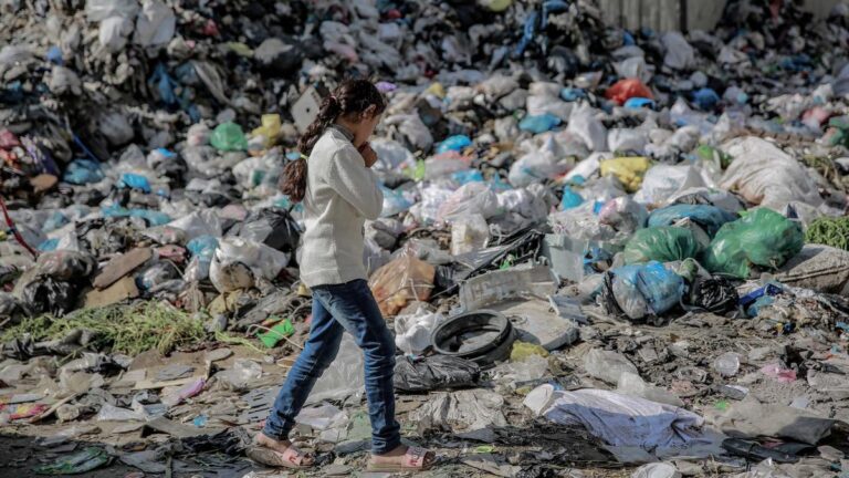 Penemuan Virus Polio di Gaza Berkaitan dengan Meningkatnya Populasi Lalat dan Nyamuk, Menurut Penjelasan Kemenkes RI Tentang Kontribusi Mereka pada Risiko Penularan