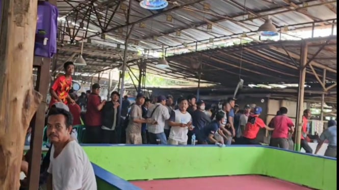 Polisi Merebek Pejudi Sabung Ayam di Legok Stadium Bekasi, Kocar-kacir