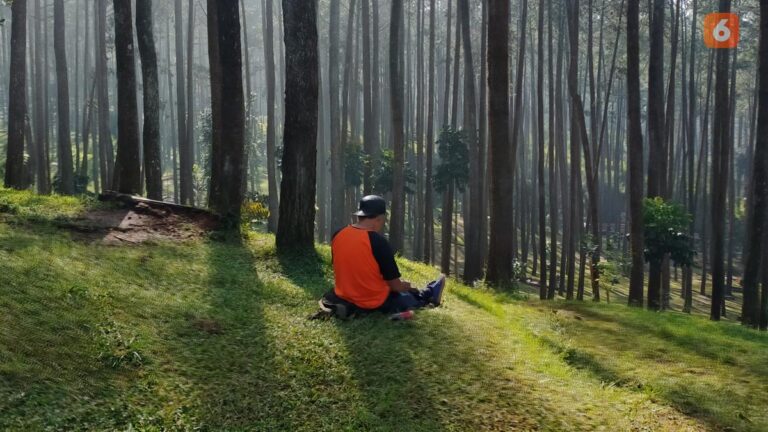 Dokter Membahas Pengaruh Positif Forest Healing bagi Kesehatan Jiwa Pekerja dalam Memperingati Hari Kesehatan Jiwa Sedunia