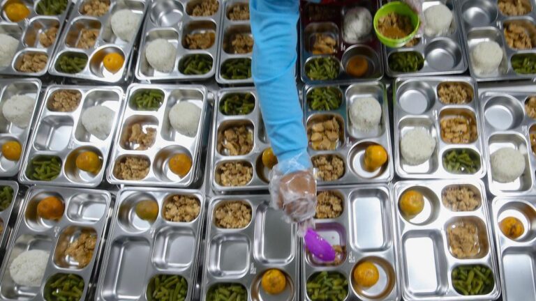 Isu Serangga Sebagai Menu MBG: Kritikan DPR