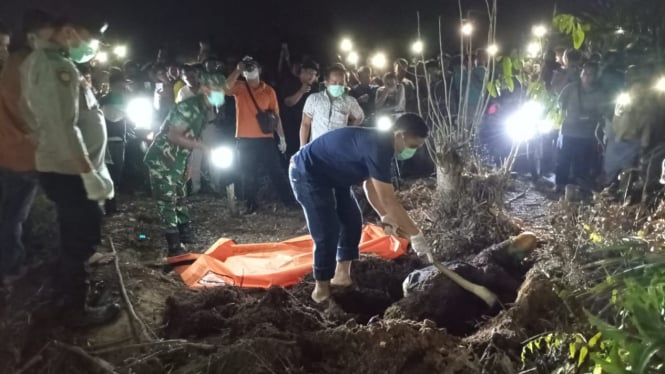 Penemuan Terkuburnya Janda di Lahan Sawit Labusel: Mengegerkan Warga