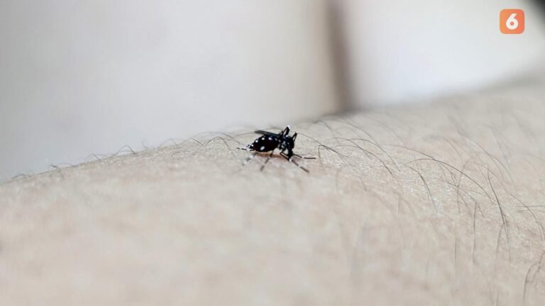 3 Keuntungan Surveilans Dengue Berbasis Masyarakat