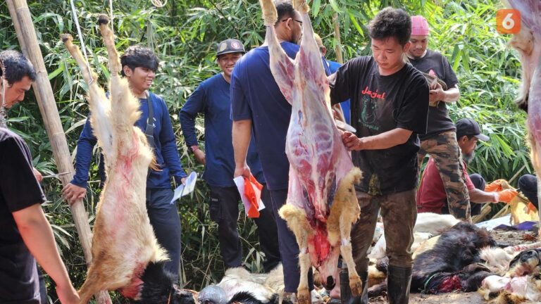 Cegah GERD di Idul Adha 2025: Hindari Tidur Setelah Makan Kurban