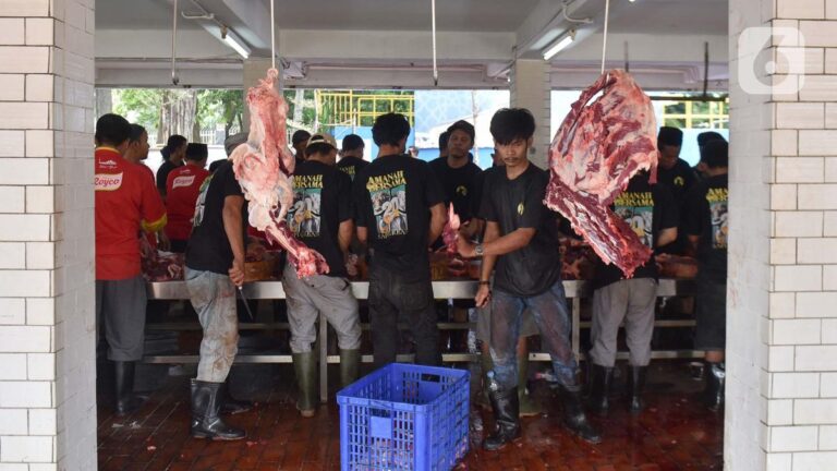 Perbandingan Kolesterol Tinggi dan Asam Urat pada Konsumsi Daging Kurban Idul Adha 2025