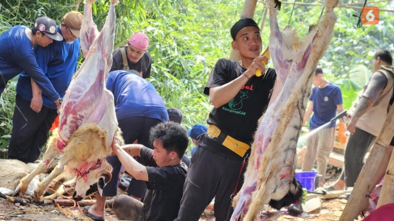 Tips Mencegah GERD Setelah Konsumsi Daging Kurban