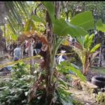685386bb48414-lokasi-penemuan-mayat-korban-mutilasi-di-batang-anai_665_374.jpg