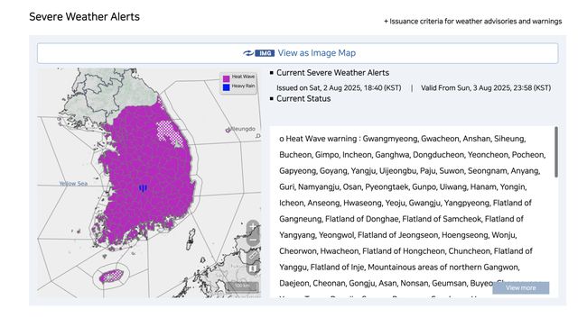 Gelombang Panas Korea Membuat Pisang Tumbuh-Labu Matang!